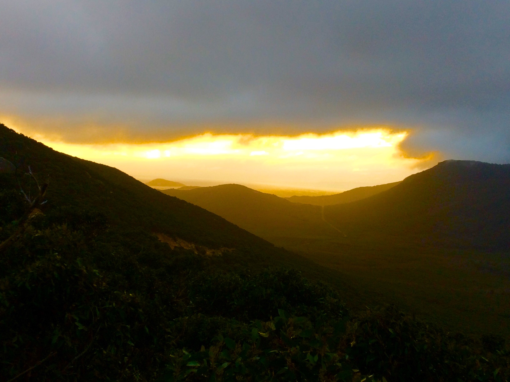 FullSizeRender_2 (1)