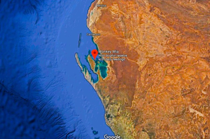 Screen Shot 2019-11-05 at 4.25.31 PM